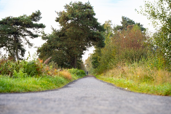 Hiker in the distance on a hiking path in National Park De Groote Peel
