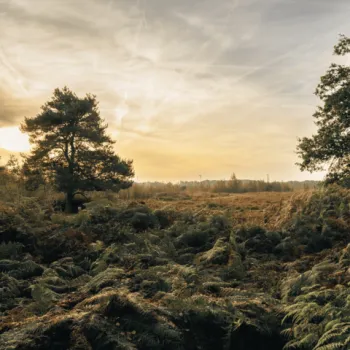 De heerlijke peelroute