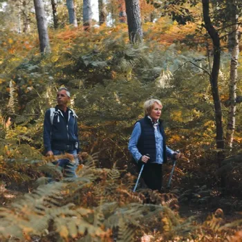 Twee wandelaars lopen met wandelstokken door een bos vol varens in warme herfstkleuren.