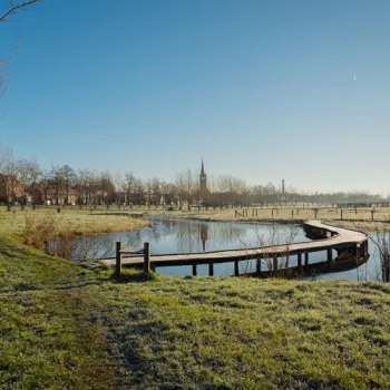 Een houten vlonder loopt langs een waterplas in een open, groen landschap, met de kerktoren en huizen van Buggenum op de achtergrond.
